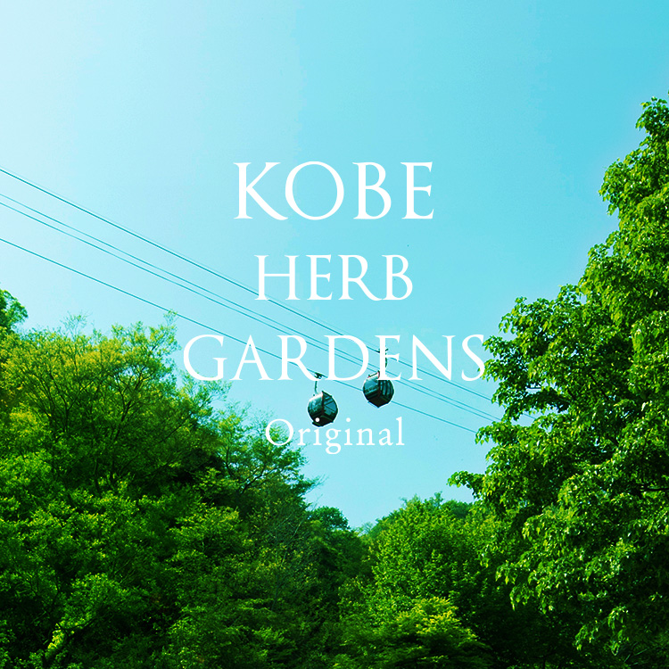 ｃｏｃｏ◡̈♡ིྀ様　ハーブガーデン125ml 3本 coco◡̈♡ིྀ様 ハーブガーデン125ml 3本 coco◡̈♡ིྀ様 ハーブ